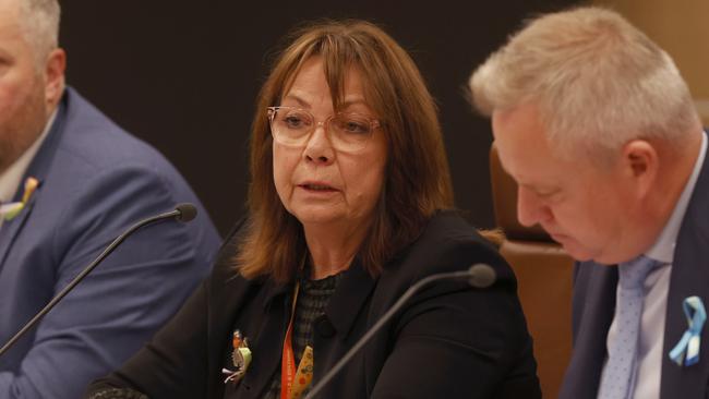 Jenny Gale Secretary Department of Premier and Cabinet. Picture: Nikki Davis-Jones