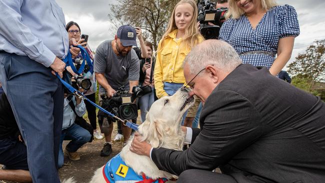 Scott Morrison visiting Assistance Dogs Australia in Orchard Hills. Picture: Jason Edwards