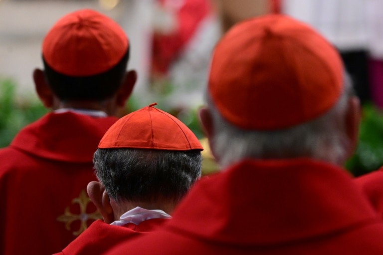 Wait for Vatican white smoke fires up social media