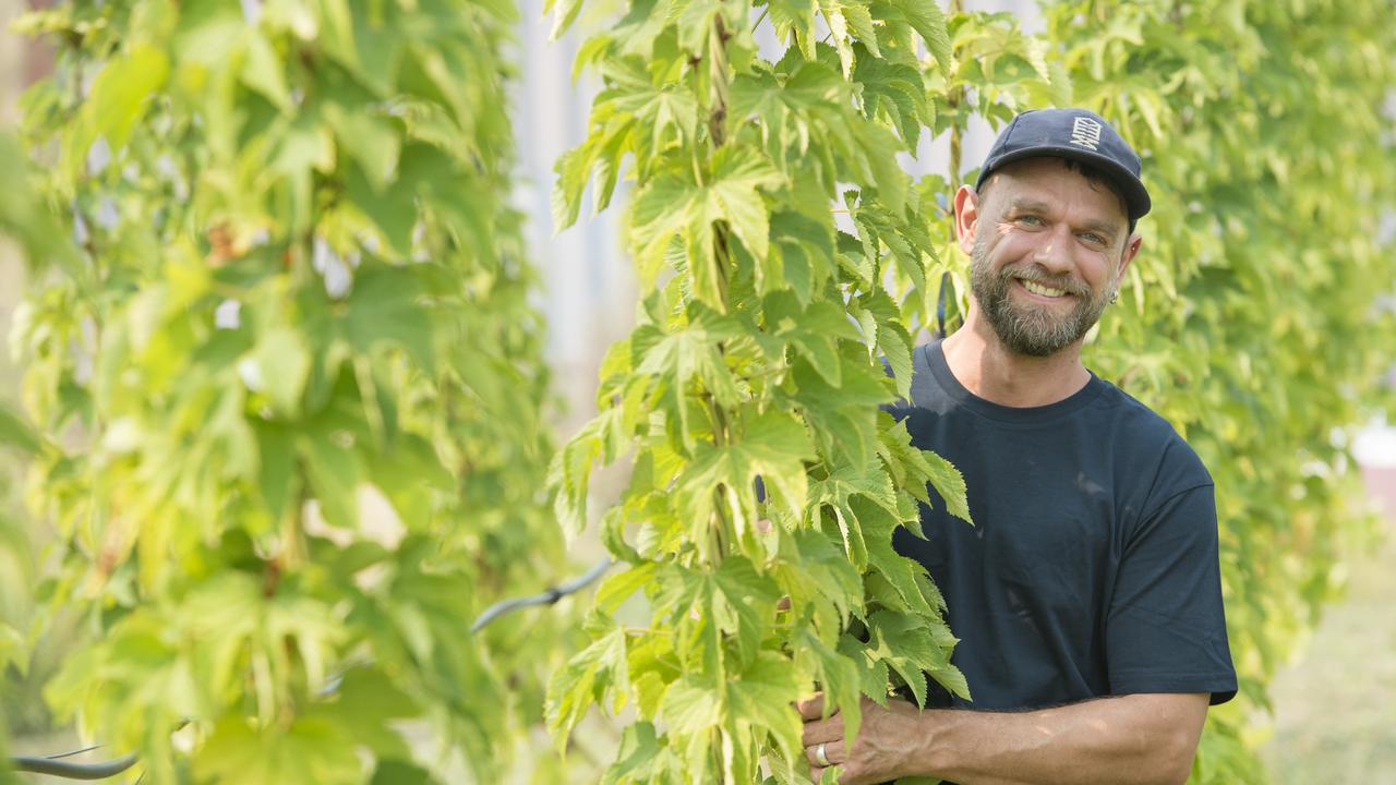 Tim learnt about growing the crop while working for Red Hill Brewing. Picture: Zoe Phillips