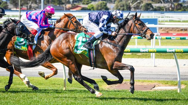 Young Werther under Damien Oliver winning his only race at Geelong back in September 2020. Picture: Reg Ryan–Racing Photos