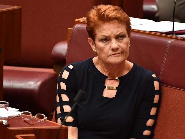 One Nation leader Senator Pauline Hanson in the Senate chamber. Picture: AAP