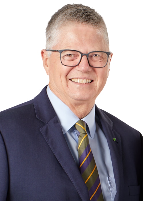 Councillor David McLachlan, Hamilton Ward. Picture: Supplied