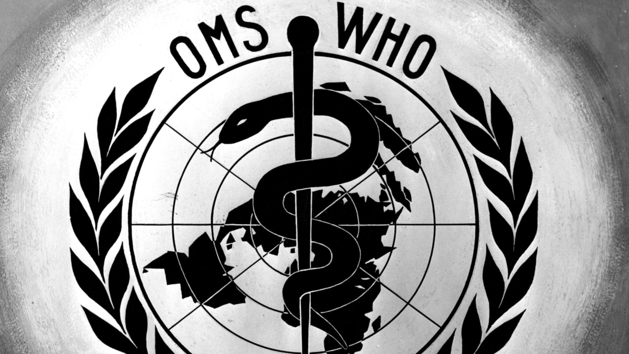 WHO 'as culpable' as China in allowing COVID-19 to spread