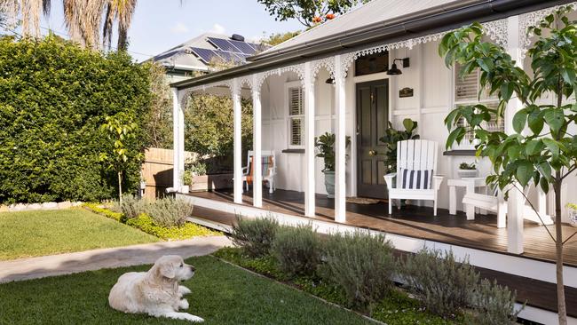 Primrose Terrace, Red Hill (dog not included)