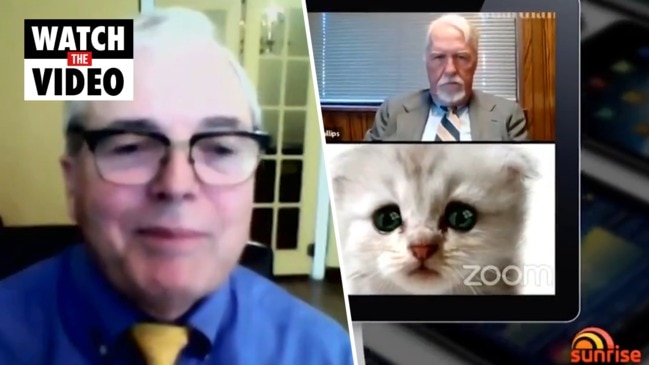 Lawyer And Judge Behind Viral Cat Zoom Court Meeting Address Hilarious Video News Com Au Australia S Leading News Site