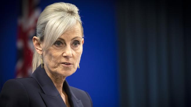 Attorney-General Elise Archer said the government had been focused on the COVID-19 response. Picture: CHRIS KIDD