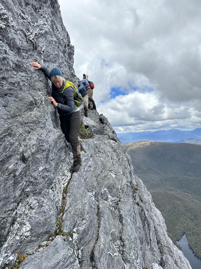 Federation Peak walk: A walker on the ledge above the drop off