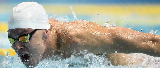 Mitch Larkin had an enormous 2018.                  (Photo by Matt Roberts/Getty Images)