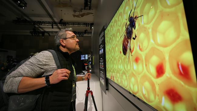 Samsung has unveiled its new 8K range of TVs. Picture: AP