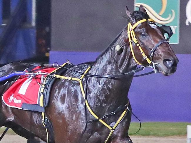 Race 9: Tabcorp Park, Vicbred Super Series Semis, Friday 30-6-2017 Empire Stallions Vicbred Super Series (4YO Entires & Geldings) (2nd Semi-Final) Winner: Soho Tribeca (1) Trainer: Kim Prentice; Driver: Kim Prentice Race Distance: 2,240 metres  Mile Rate: 1.56.6 photography: Stuart McCormick