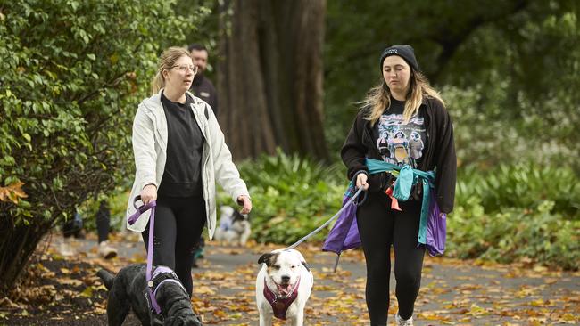Million Paws Walk in the Adelaide Botanic Gardens, Sunday, May 28, 2023. Picture: Matt Loxton