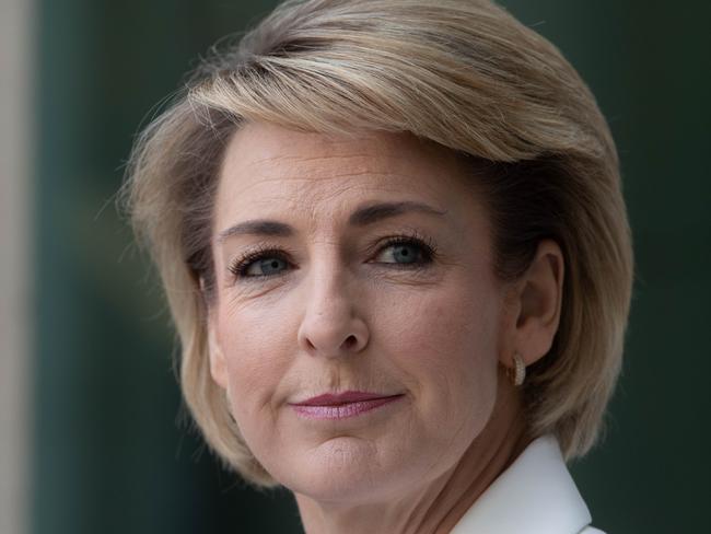 Employment Minister Michaelia Cash says the government has launched a site called The Jobs Hub for people to find jobs in their local area. Picture: NCA NewsWire/Andrew Taylor