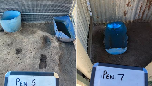 The conditions of some of the dog yards at Elizabeth Verhagen‘s property. Picture: Supplied/RSPCA