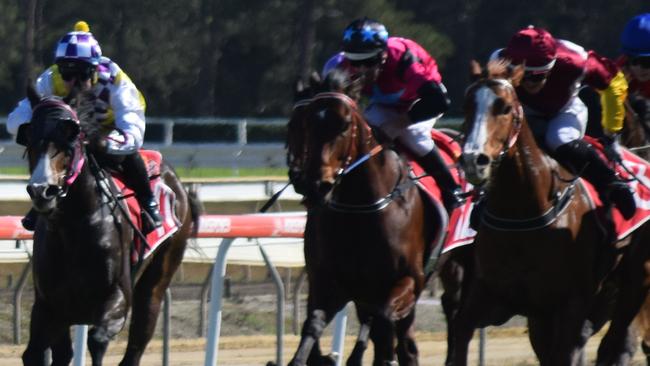 Colleoni (outside) flies home to win the second race on Coffs Harbour Cup Day.