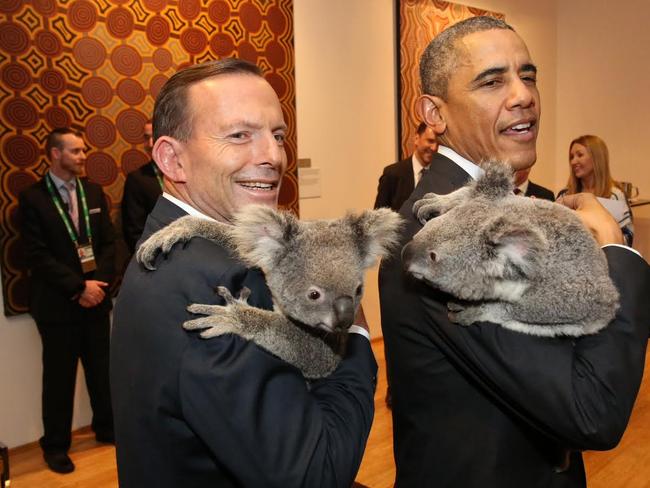 Prime Minister Tony Abbott and Russian President Vladimir Putin paws ...