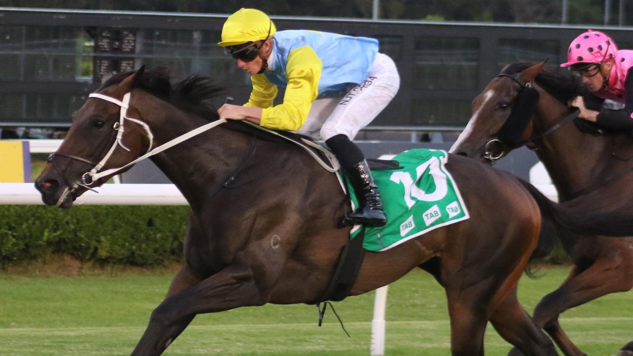 The Chris Waller-trained Pretty Amazing looks a great chance to get back to the winners’ circle. Picture: Grant Guy