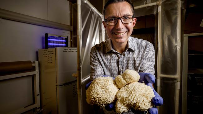 Bien Lema with some of his specially grown mushrooms. Picture: Nicole Cleary