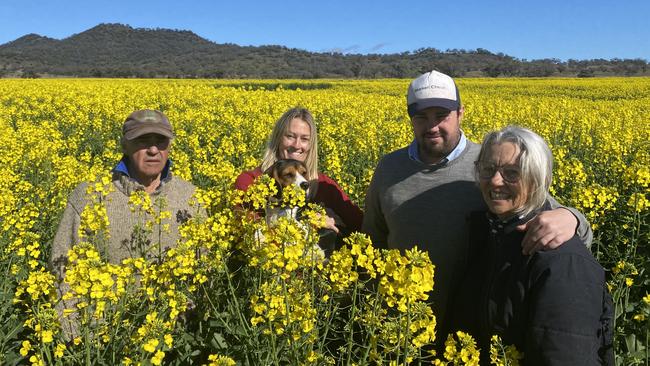 Paul Nankivell (left), Rosemary Nankivell (right) and son and daughter-in-law Nellie and Edward Nankivell (middle) on a canola crop at their Yarraman property on the Liverpool Plains. They are fighting against coal seam gas mining. Supplied.