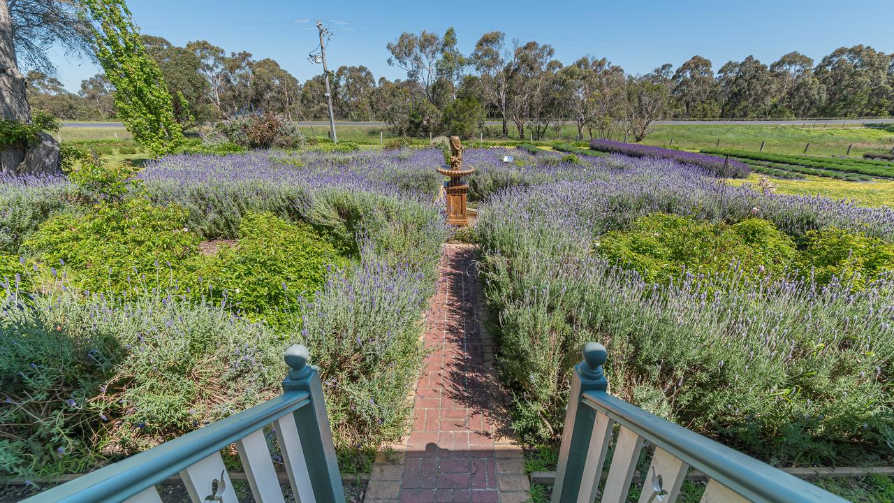 Lady Lavender’s Tea Room and Farm at Bunyip for sale | The Weekly Times