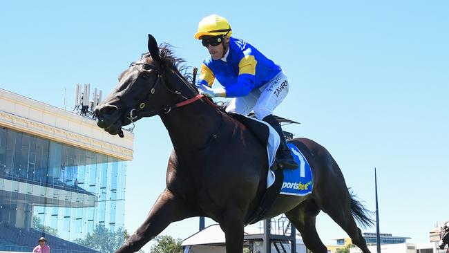 Punch Lane and jockey Mark Zahra should go close to another win in the last race of Saturday’s Lightning Stakes meeting at Flemington. Picture: Racing Photos via Getty Images