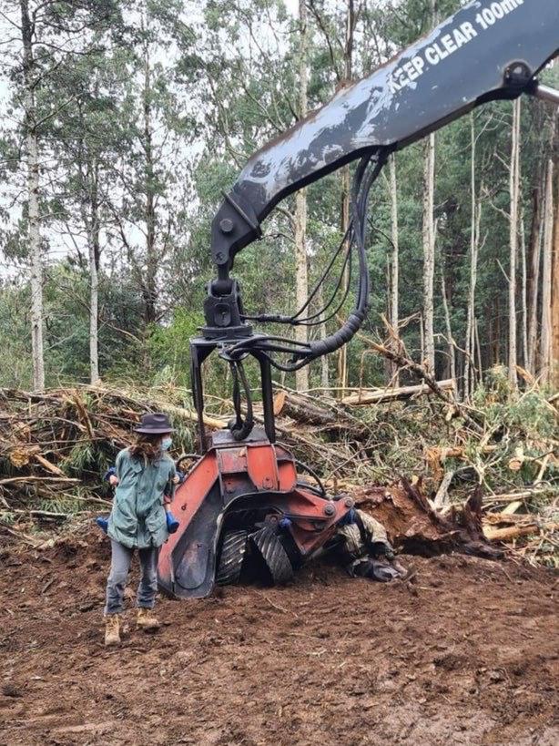 Save Errinundra protesters (including children) block logging machinery in East Gippsland. Supplied