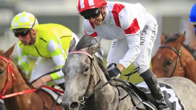 Classique Legend will head to the trials one more time before starting first-up in The Everest. Picture: Mark Evans–Getty Images