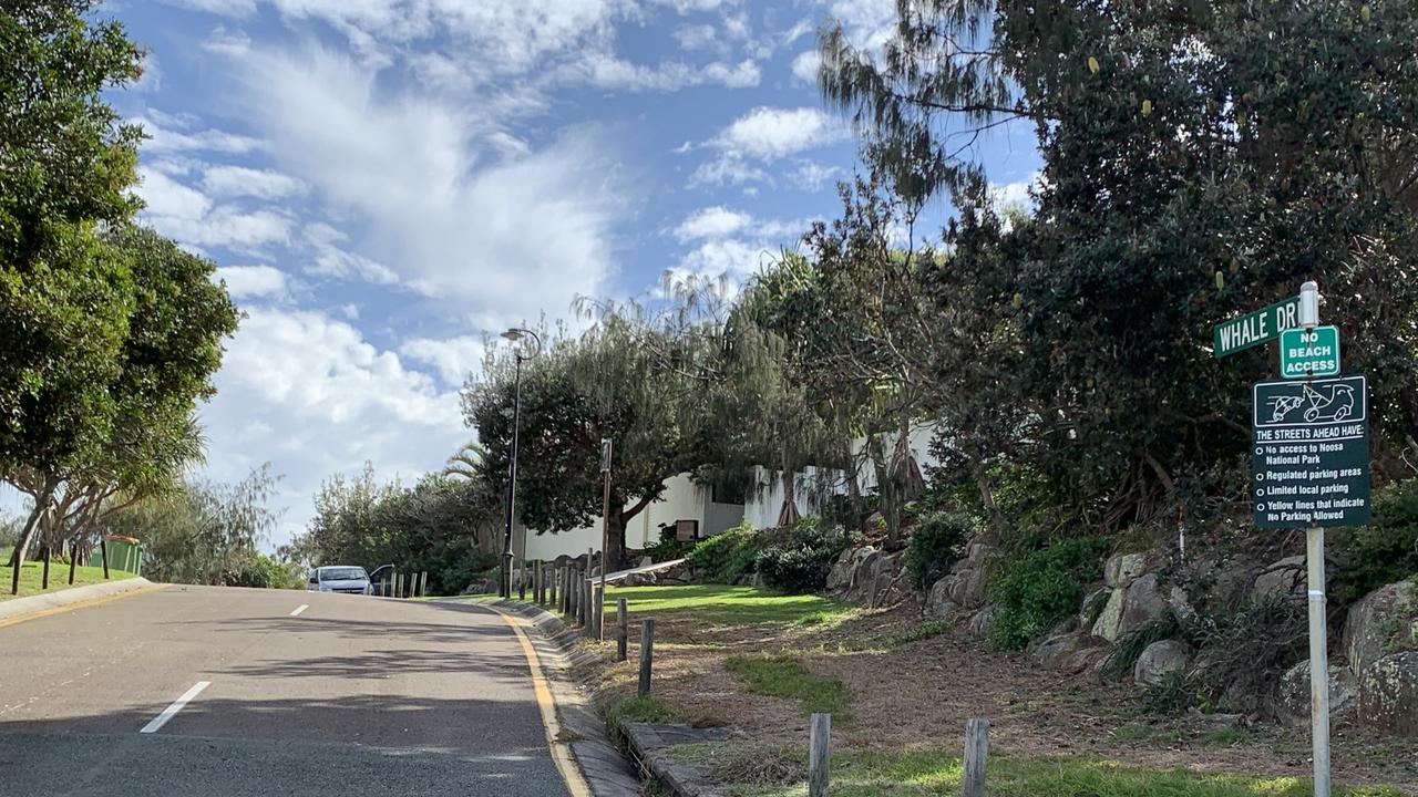 Whale Drive, Sunshine Beach. Picture: Aisling Brennan