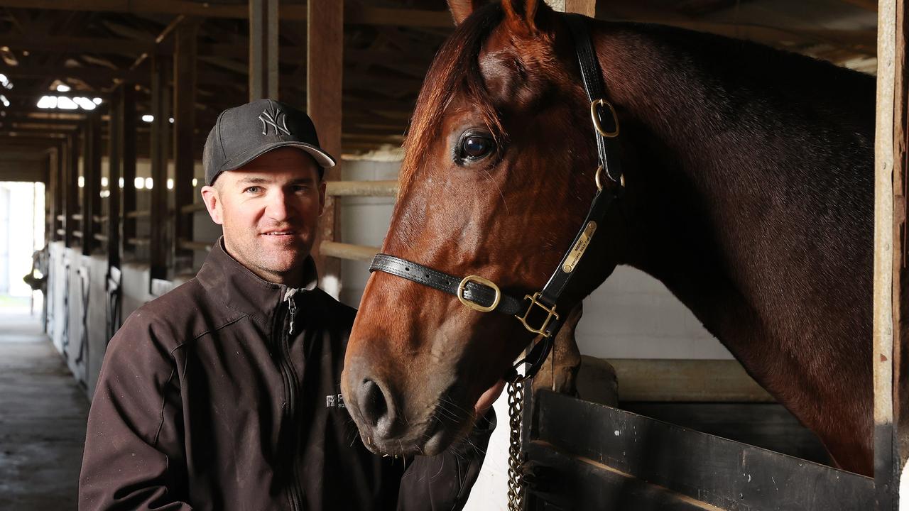 Luke McCarthy drives King Of Swing in Blacks A Fake at Albion Park ...