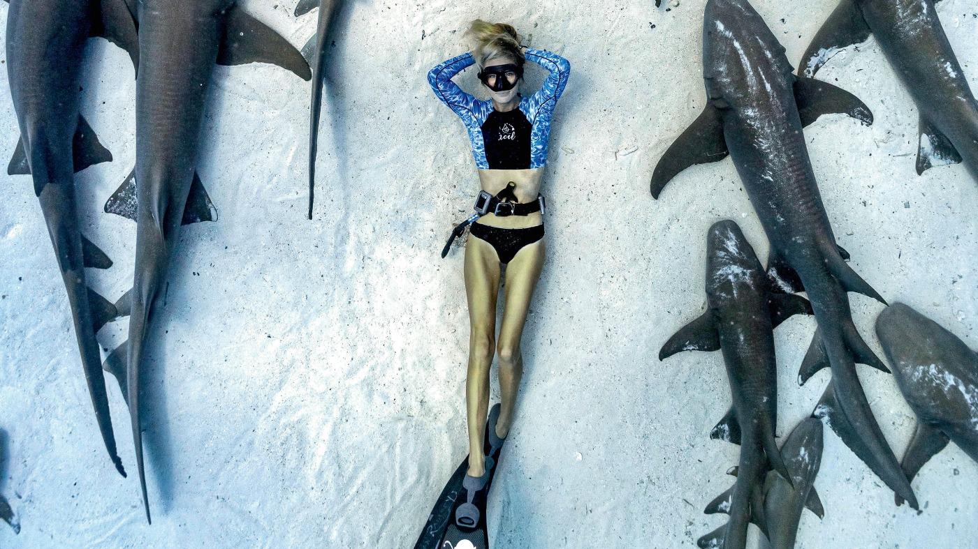 Ocean ramsey hotsell shark watch