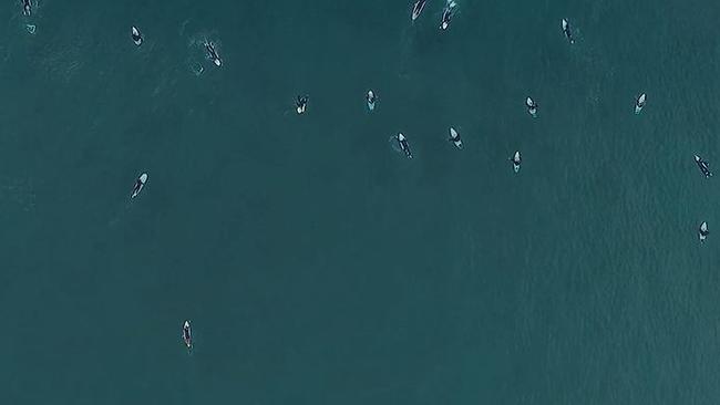 Surfers in action on the northern beaches.