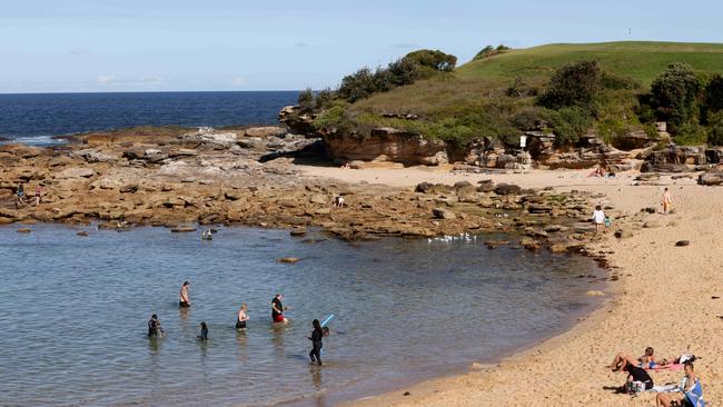 Little Bay beach. Picture: Damian Shaw