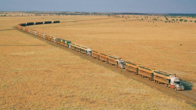 Austalia’s biggest meat producers, S Kidman & Co Ltd, loading cattle at the Helen Springs Station, one of the company’s 13 farms