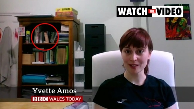 Bbc Guest Goes Viral For Sex Toy In Background During Interview Video Au 6750