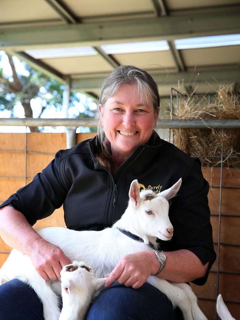 Pictures of Purely Goats Milk at Nilma, West Gippsland | The Weekly Times