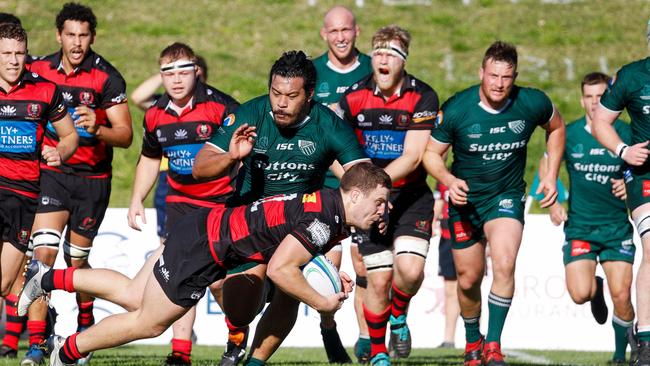 Norths are one of the leading teams in the Shute Shield in 2020. Pic Karen Watson.