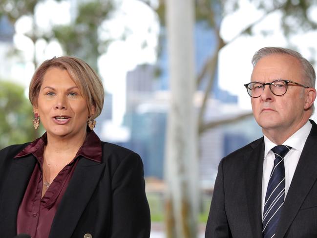 PERTH, AUSTRALIA - NewsWire Photos - June 2nd 2025: Prime Minister Anthony Albanese at a Press Conference announcing former Green's Senator Dorinda Cox has joined the Labor Party; Announced at The Old Tea Pavilion, Kings Park , in Perth, WA. Picture: NewsWire / Philip Gostelow