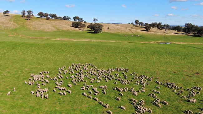 The 904ha Wyrung-Attunga farm is located in the southwest slopes region of NSW.