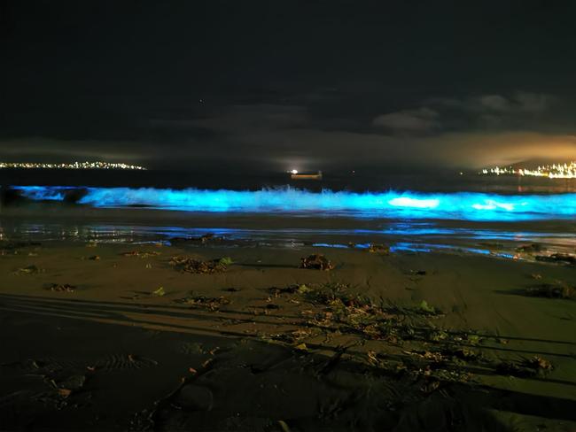 Bioluminescent algae, Tasmania. Picture: Facebook