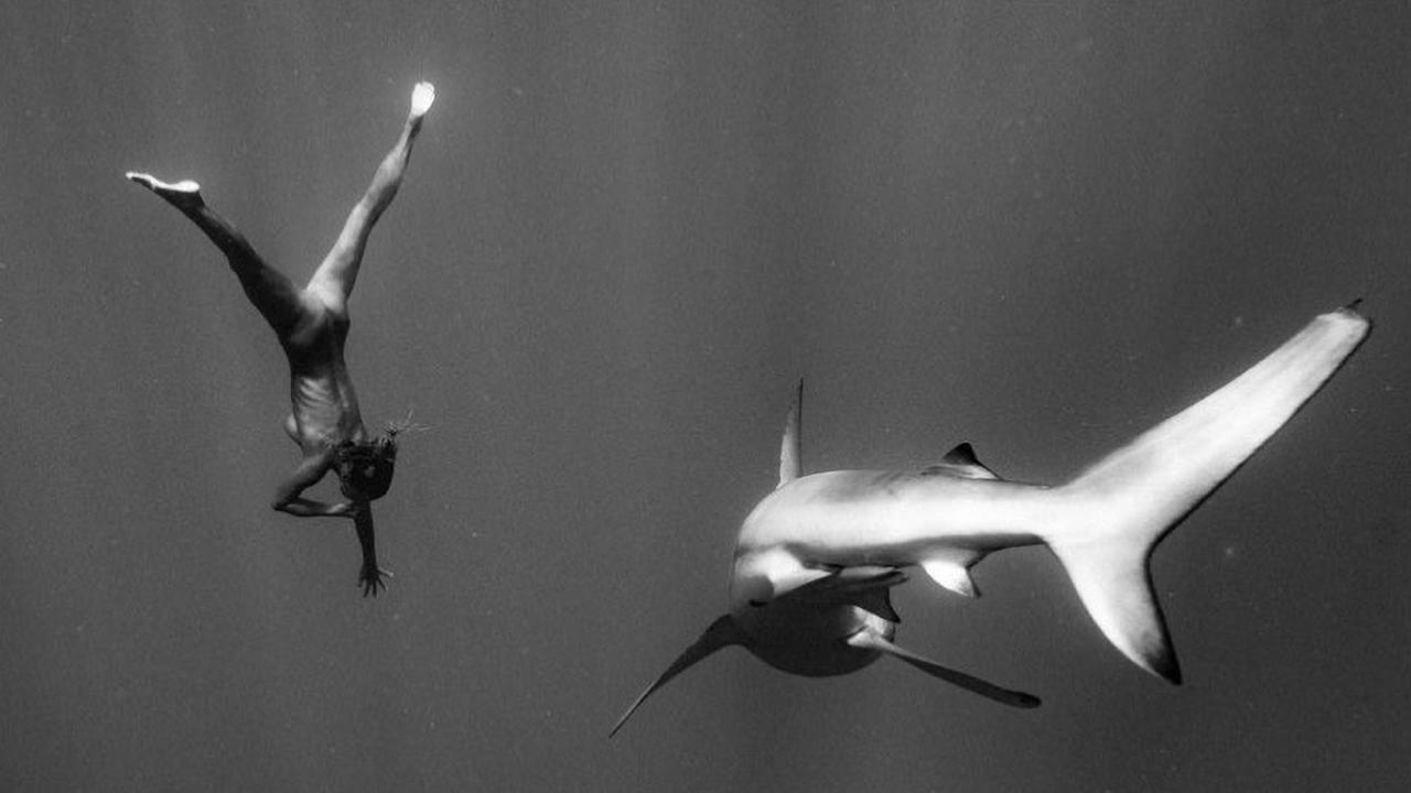 Playboy Model Marisa Papen Dives Naked With Sharks In Hawaii Gold Coast Bulletin