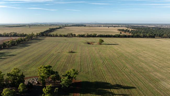 The Hurst family have sold their 447.58ha Wagga Wagga farm, Iona.