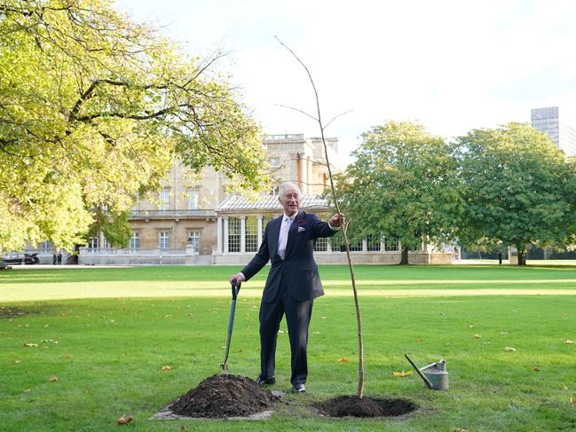 The monarch, a passionate environmentalist, plants a lime tree at Buckingham Palace. Picture: Getty Images