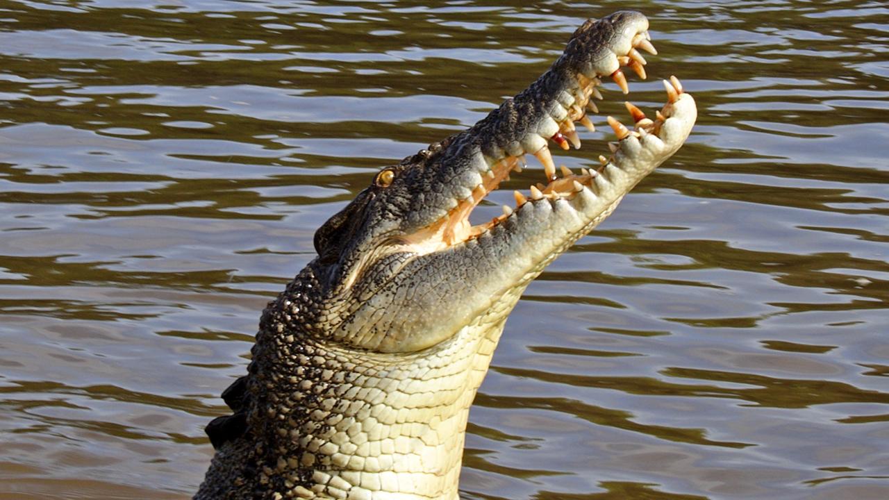 A Karumba fisherman, travelling up and down the coast selling his fish, made bizarre excuses for his possession of a handgun and drugs which left a Mackay magistrate in a state of incredulity.