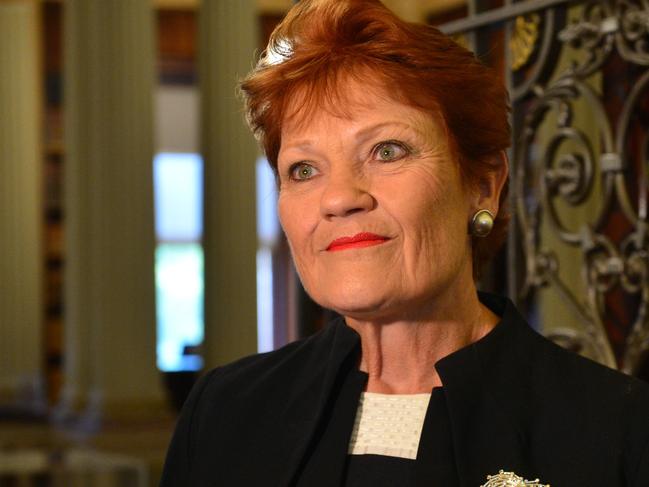 MELBOURNE, AUSTRALIA - NewsWire Photos DECEMBER 20TH, 2022: Pauline Hanson speaks to the media at Victorian Parliament. Picture: NCA NewsWire / Nicki Connolly