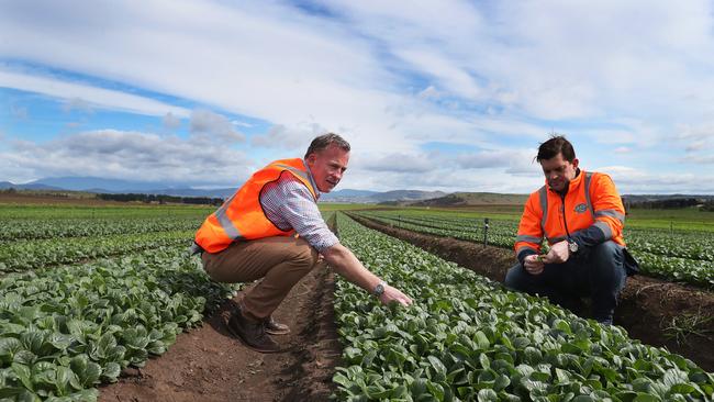 Premier Will Hodgman with Richard Hopkins of Houston's Farm. Picture: NIKKI DAVIS-JONES