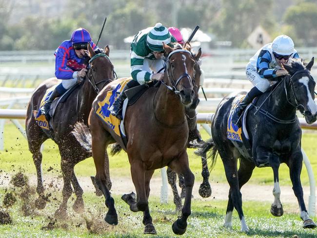 Ti Tree Lad ridden by John Allen wins the Billy "The Butcher" Malady Maiden Plate at Warrnambool Racecourse on May 01, 2024 in Warrnambool, Australia. (Photo by George Sal/Racing Photos via Getty Images)