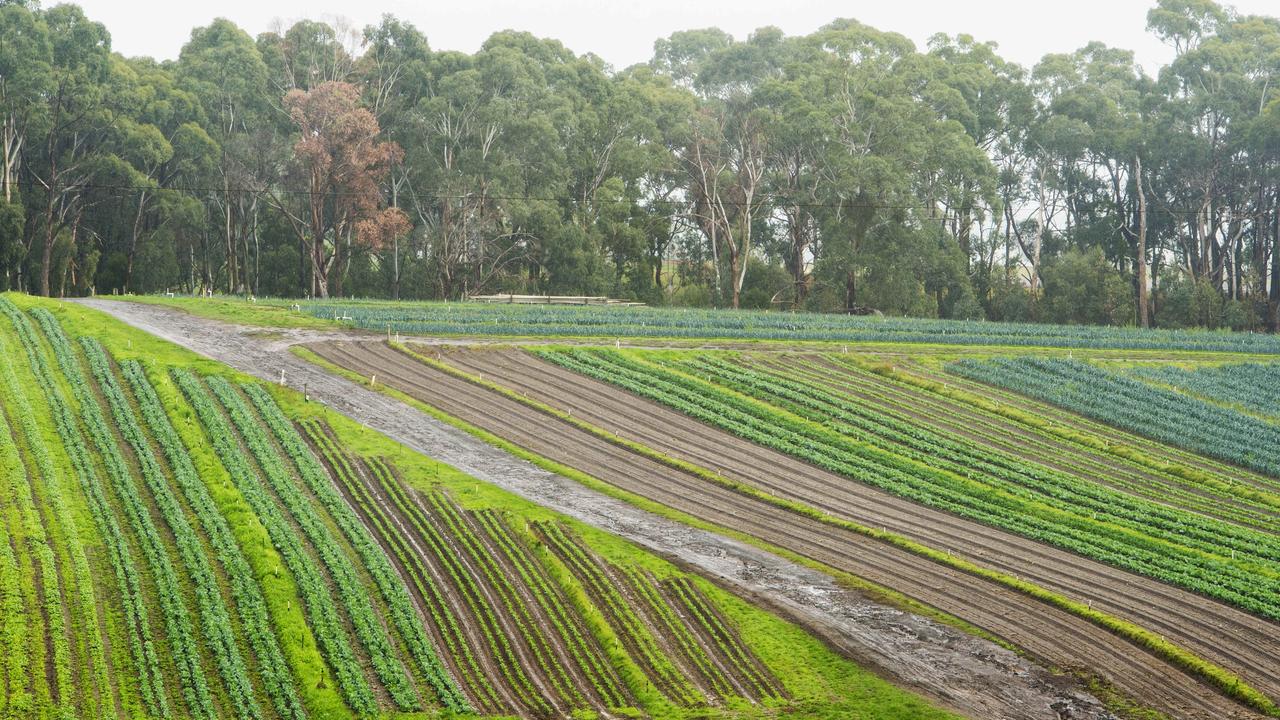 Changing how we farm can reduce global warming. Picture: Zoe Phillips.