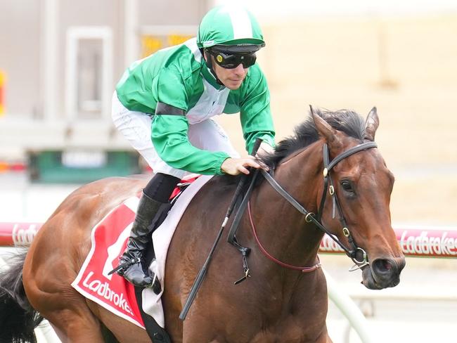 Refusetobeenglish (NZ) ridden by Ben Melham wins the Frankston Sand Soil & Mini Mix Handicap at Cranbourne Racecourse on November 23, 2024 in Cranbourne, Australia. (Photo by Scott Barbour/Racing Photos via Getty Images)