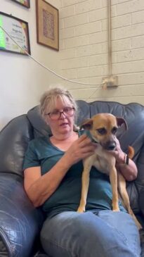 Paws Darwin makes bid for help