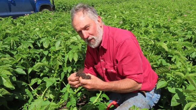 Potato farmer Terry Buckley from Mingbool. Picture: Arj Ganesan